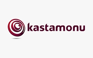 Ламинат Kastamonu оптом